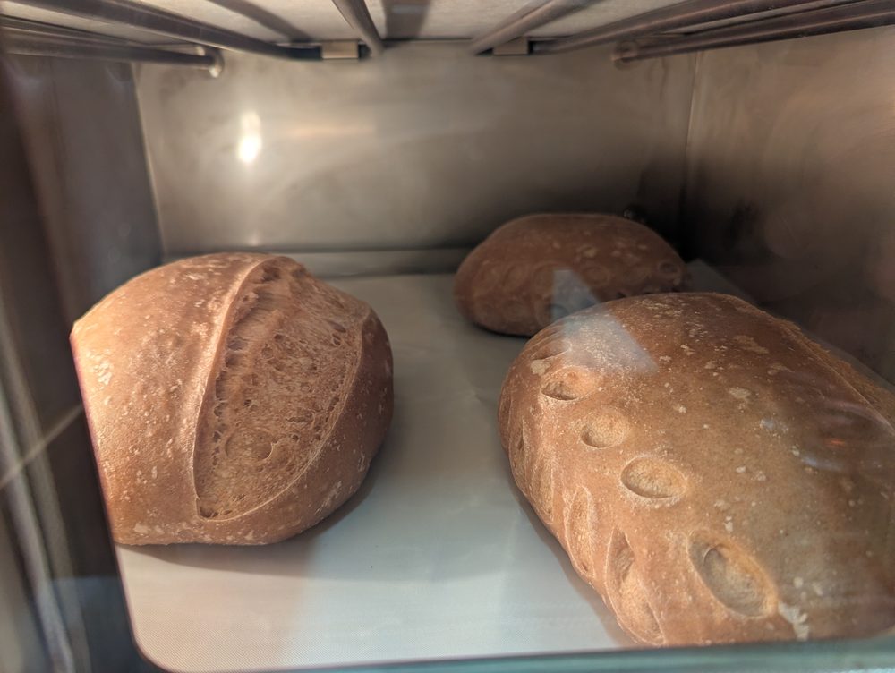 Sourdough loaves baking in the oven