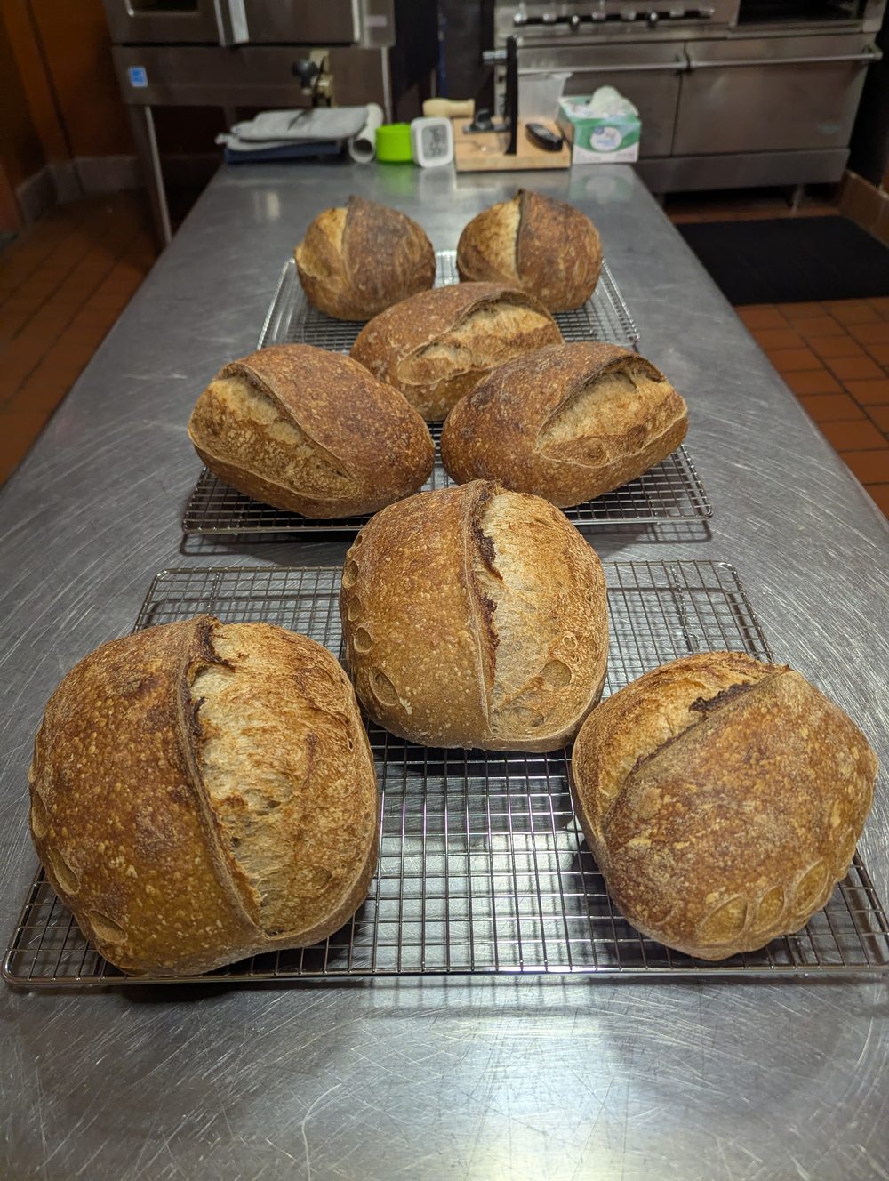 Fresh sourdough loaves cooling at Our Daily Bread, Dover NH