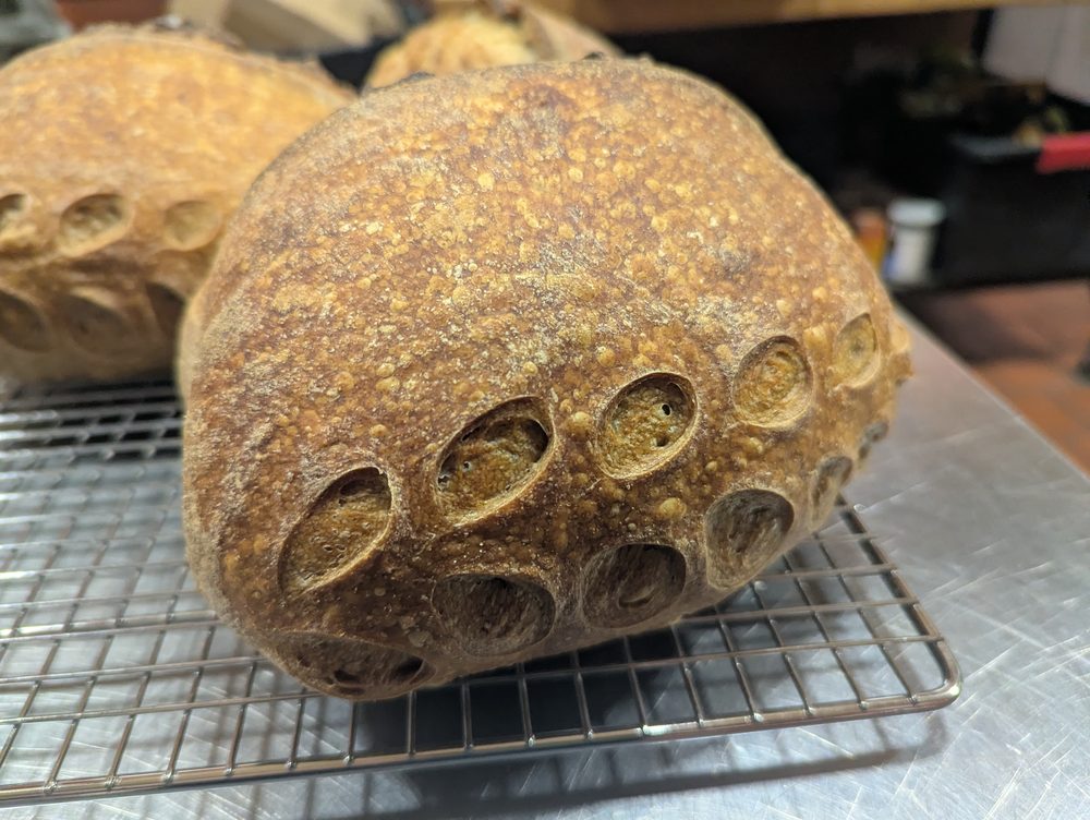 Our Daily Bread artisan sourdough and kitchen, Dover NH