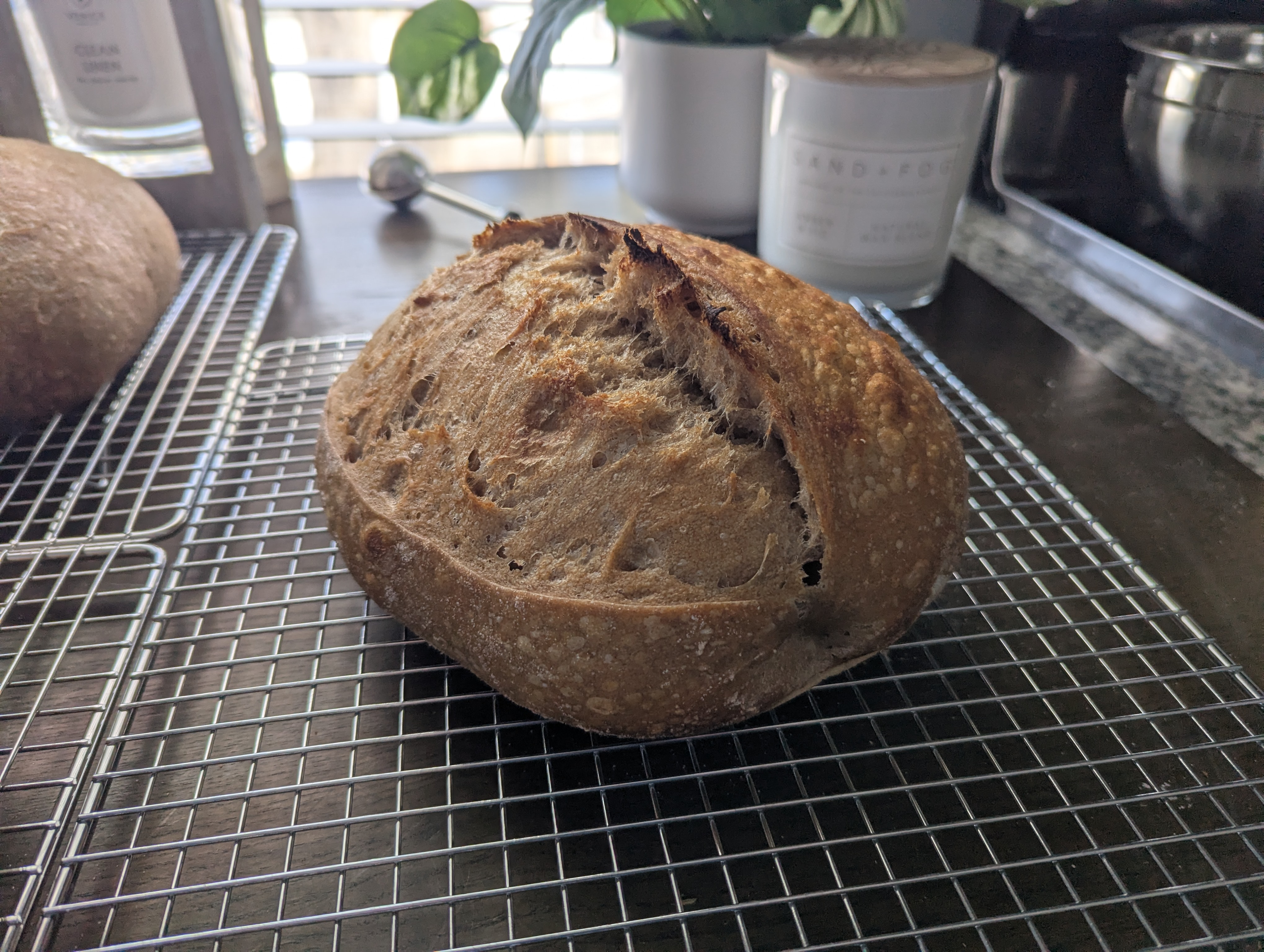 Close-up of golden-brown sourdough crust
