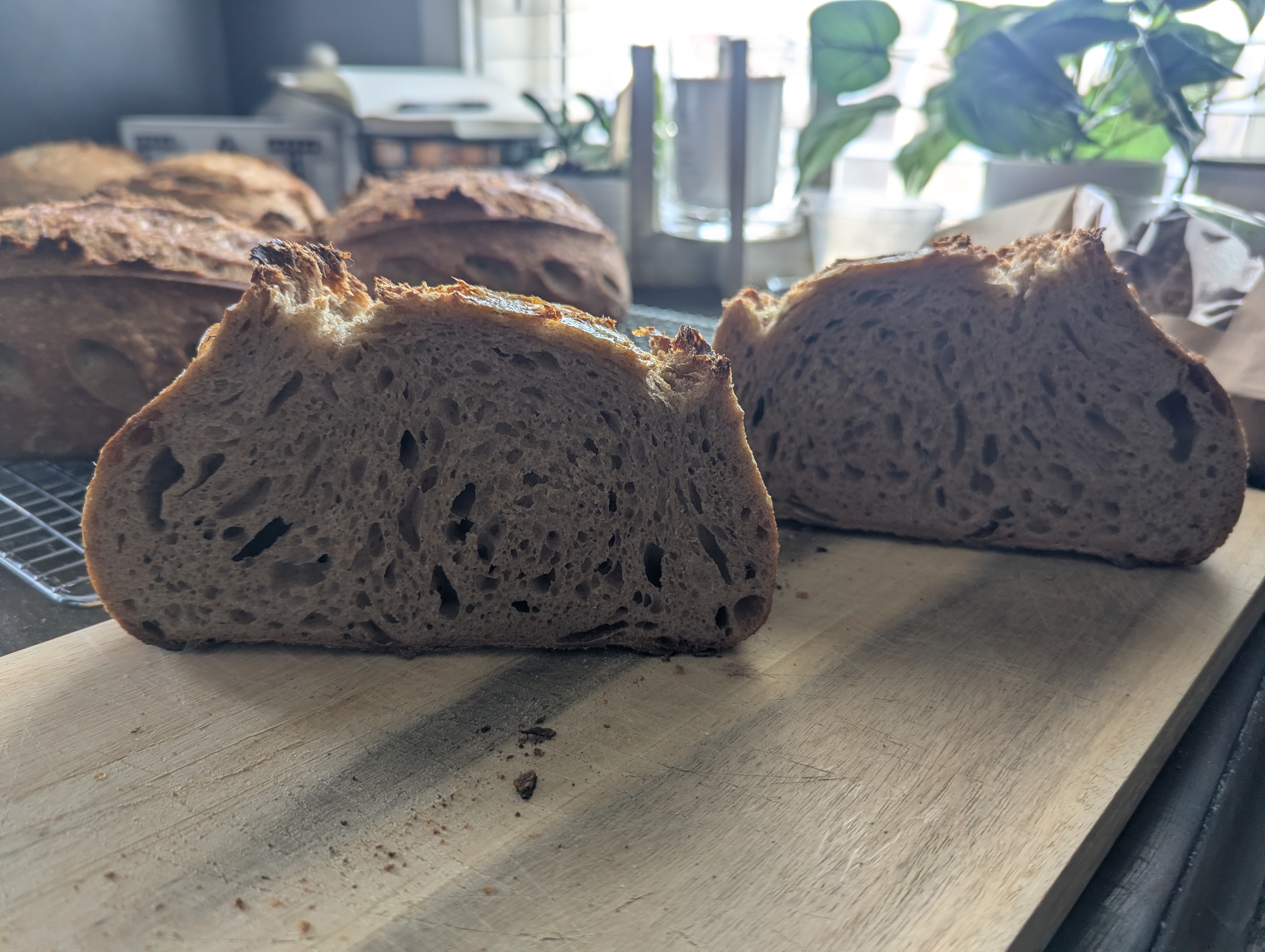 Sliced sourdough and whole loaves on cooling rack