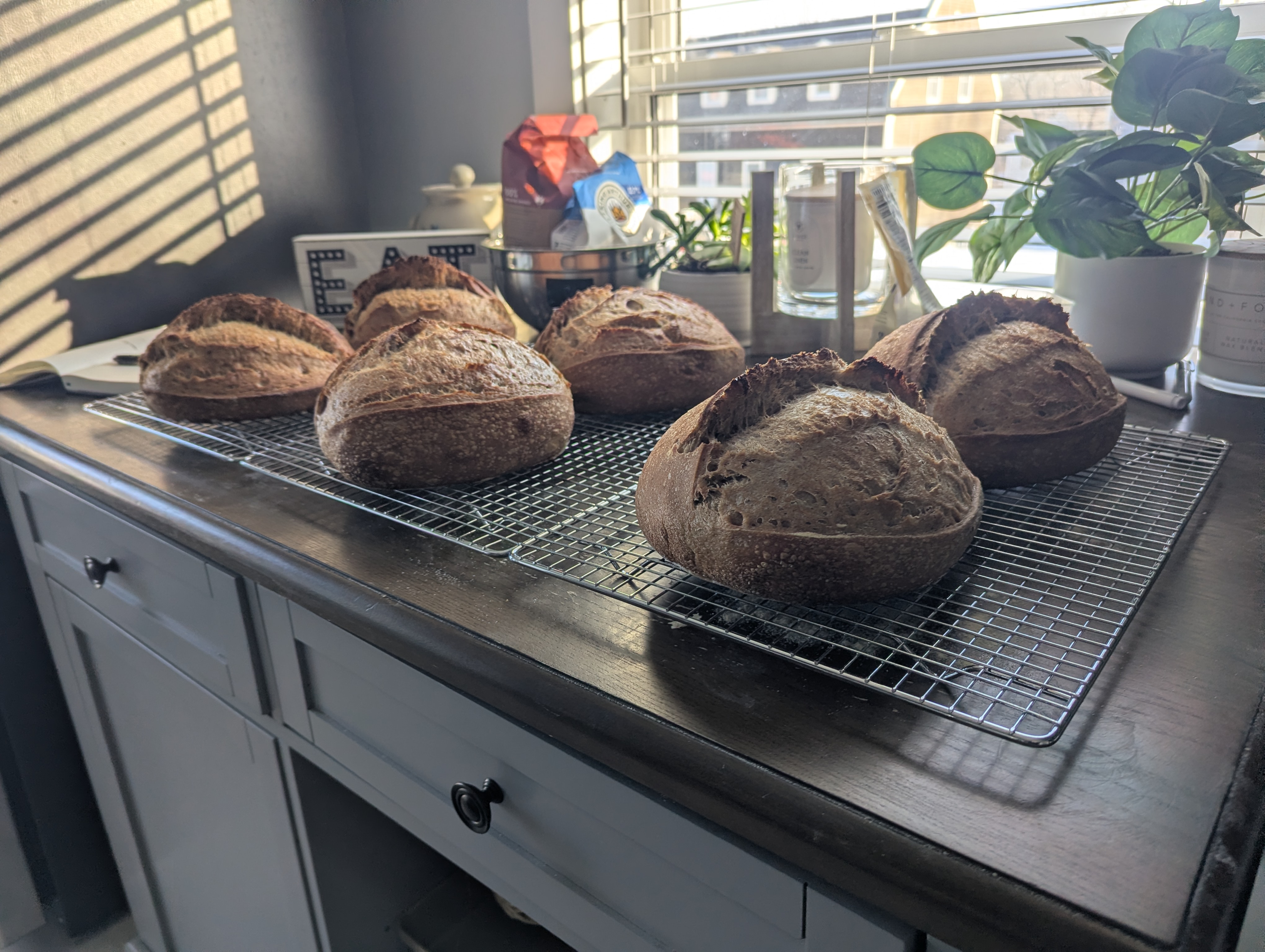 Dark crusted loaves on wire racks