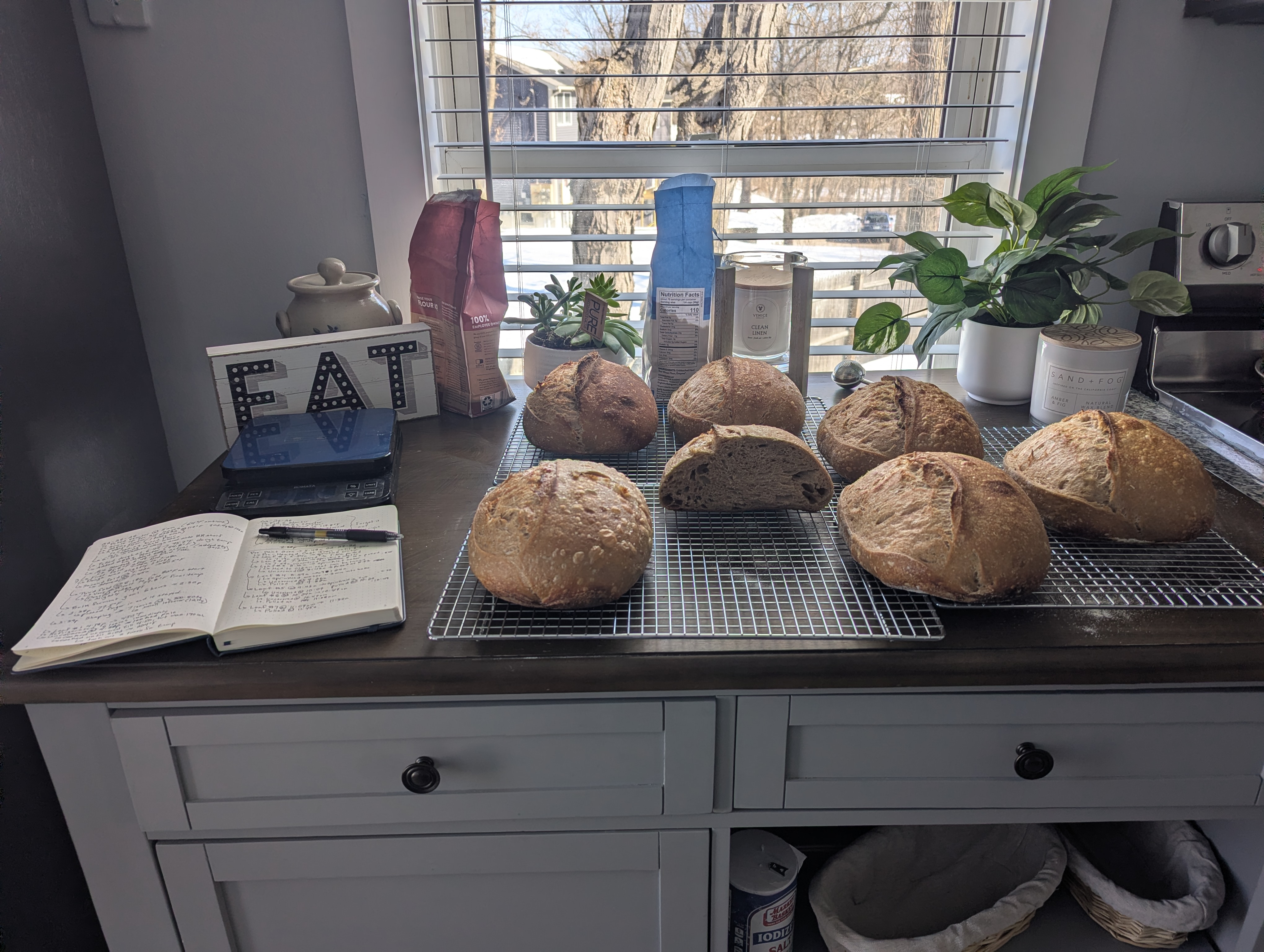 Seven artisan loaves cooling