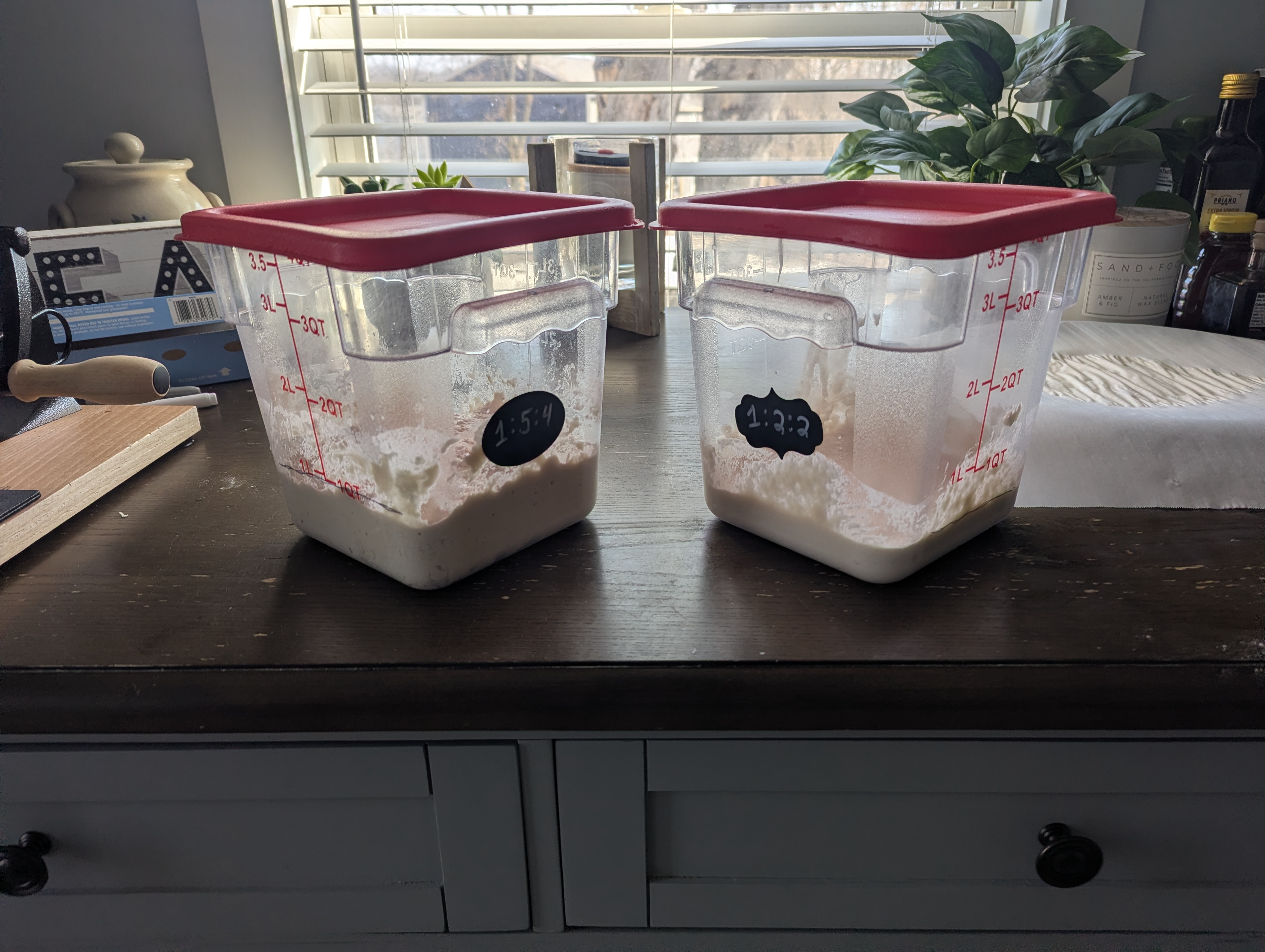 Sourdough starter in containers